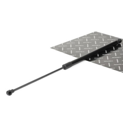 Gasfeder, Koffer-/Laderaum RIDEX 219G0209 219G0209 - foto 2