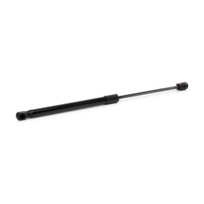 Gasfeder, Koffer-/Laderaum RIDEX 219G1348 219G1348 - foto 3