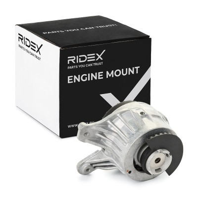 Motoraufhängung RIDEX 247E0777 247E0777 - foto 2