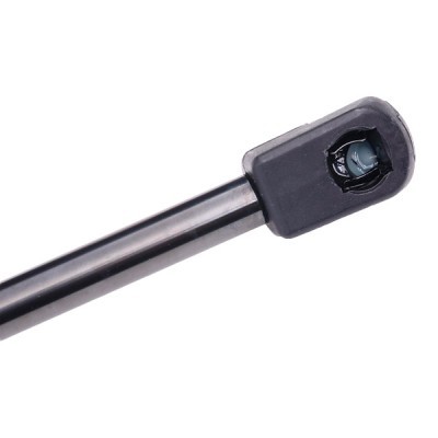 Gasfeder, Koffer-/Laderaum RIDEX 219G0625 219G0625 - foto 5