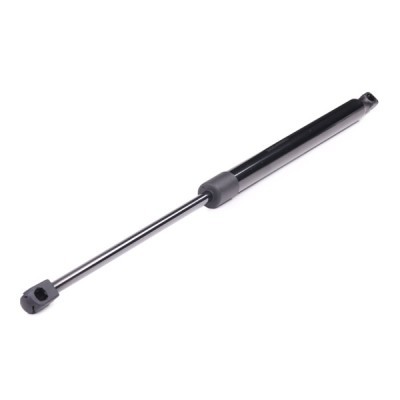 Gasfeder, Koffer-/Laderaum RIDEX 219G0289 219G0289 - foto 6