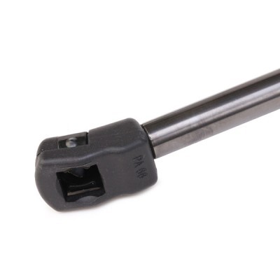 Gasfeder, Koffer-/Laderaum RIDEX 219G0589 219G0589 - foto 4