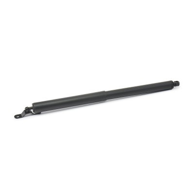 Gasfeder, Koffer-/Laderaum RIDEX 219G0951 219G0951 - foto 2