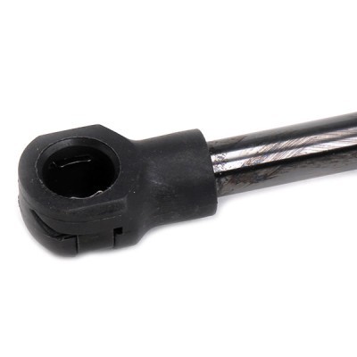 Gasfeder, Koffer-/Laderaum RIDEX 219G0735 219G0735 - foto 5