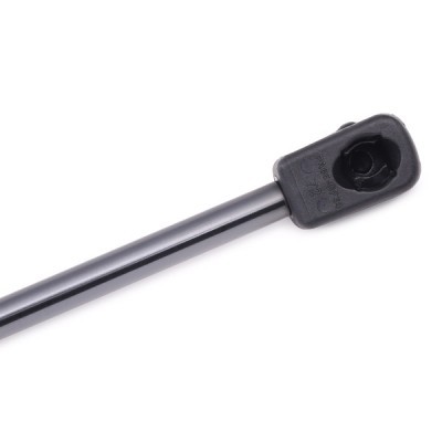 Gasfeder, Koffer-/Laderaum RIDEX 219G0043 219G0043 - foto 6