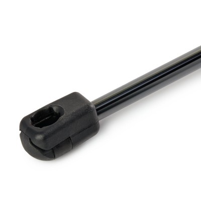 Gasfeder, Koffer-/Laderaum RIDEX 219G1000 219G1000 - foto 5