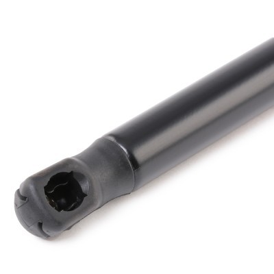 Gasfeder, Koffer-/Laderaum RIDEX 219G0455 219G0455 - foto 4