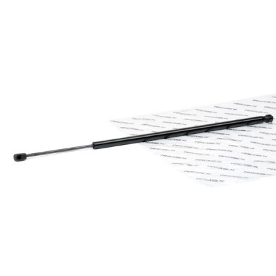 Gasfeder, Koffer-/Laderaum RIDEX 219G1028 219G1028 - foto 2