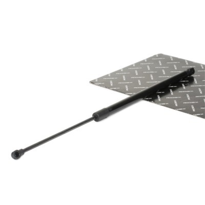 Gasfeder, Koffer-/Laderaum RIDEX 219G0734 219G0734 - foto 2