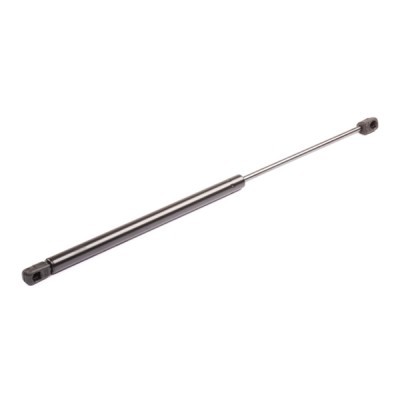 Gasfeder, Koffer-/Laderaum RIDEX 219G0109 219G0109 - foto 7