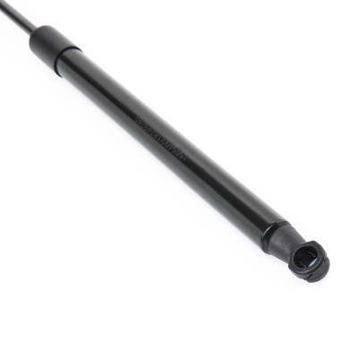 Gasfeder, Koffer-/Laderaum RIDEX 219G1135 219G1135 - foto 5