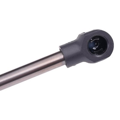 Gasfeder, Koffer-/Laderaum RIDEX 219G0366 219G0366 - foto 5
