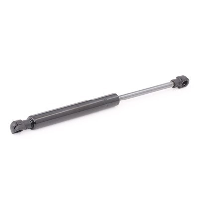 Gasfeder, Koffer-/Laderaum RIDEX 219G1059 219G1059 - foto 3