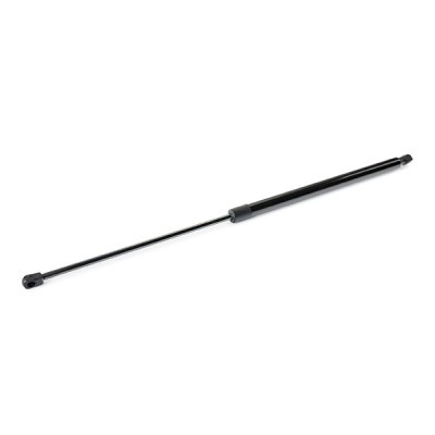 Gasfeder, Koffer-/Laderaum RIDEX 219G1142 219G1142 - foto 3