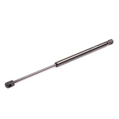 Gasfeder, Koffer-/Laderaum RIDEX 219G0023 219G0023 - foto 4