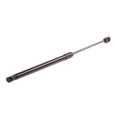 Gasfeder, Koffer-/Laderaum RIDEX 219G0190 219G0190 - foto 7