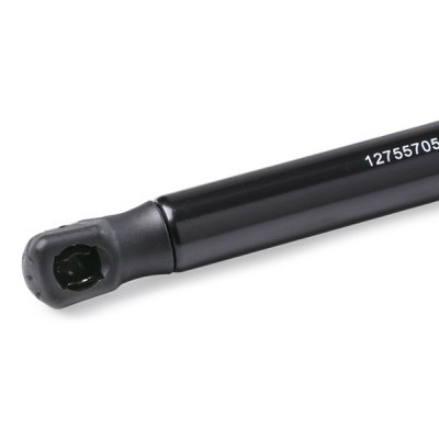 Gasfeder, Koffer-/Laderaum RIDEX 219G0925 219G0925 - foto 5