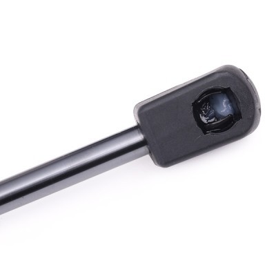 Gasfeder, Koffer-/Laderaum RIDEX 219G0620 219G0620 - foto 5
