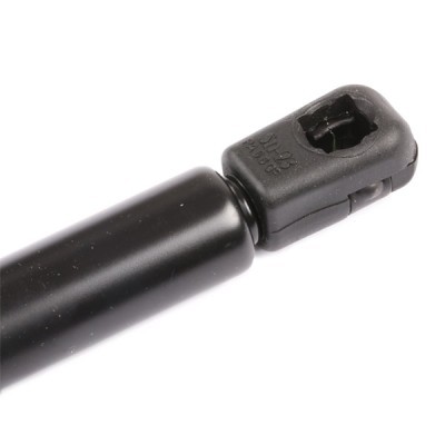 Gasfeder, Koffer-/Laderaum RIDEX 219G0109 219G0109 - foto 6