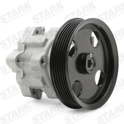 Hydraulikpumpe, Lenkung Stark SKHP-0540079 SKHP-0540079 - foto 6