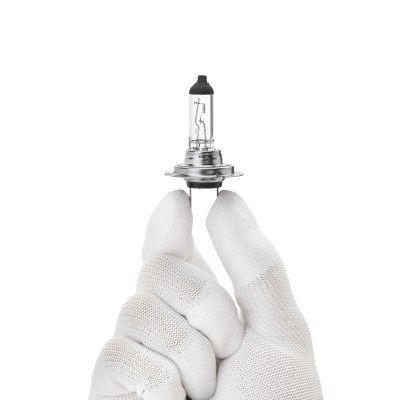 Glühlampe RIDEX 106B0002 106B0002 - foto 8