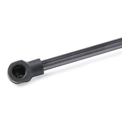 Gasfeder, Koffer-/Laderaum RIDEX 219G0712 219G0712 - foto 5