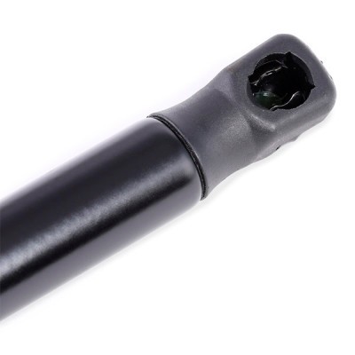 Gasfeder, Koffer-/Laderaum RIDEX 219G0298 219G0298 - foto 3