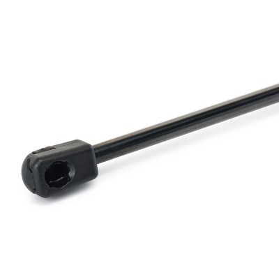 Gasfeder, Koffer-/Laderaum RIDEX 219G1387 219G1387 - foto 4