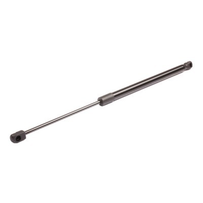 Gasfeder, Koffer-/Laderaum RIDEX 219G0226 219G0226 - foto 3
