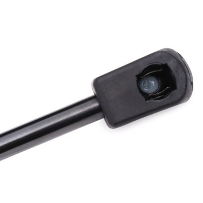 Gasfeder, Koffer-/Laderaum RIDEX 219G0454 219G0454 - foto 5
