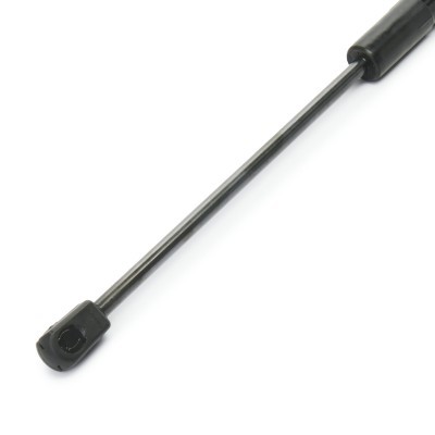 Gasfeder, Koffer-/Laderaum RIDEX 219G1274 219G1274 - foto 4