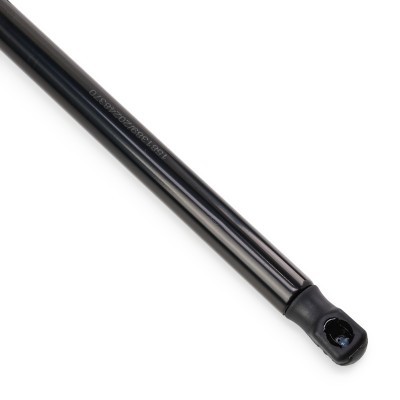 Gasfeder, Koffer-/Laderaum RIDEX 219G1348 219G1348 - foto 5