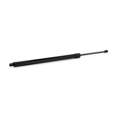 Gasfeder, Koffer-/Laderaum RIDEX 219G1293 219G1293 - foto 3