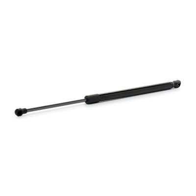 Gasfeder, Koffer-/Laderaum RIDEX 219G1368 219G1368 - foto 2