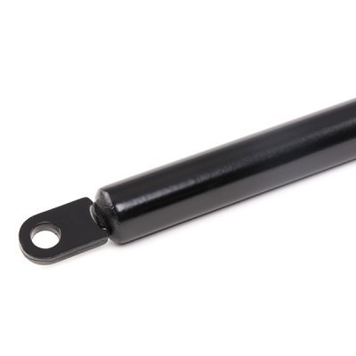 Gasfeder, Koffer-/Laderaum RIDEX 219G0453 219G0453 - foto 5