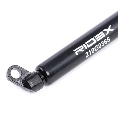 Gasfeder, Koffer-/Laderaum RIDEX 219G0365 219G0365 - foto 4