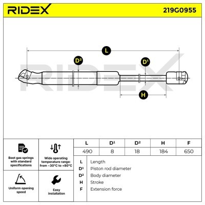 Gasfeder, Koffer-/Laderaum RIDEX 219G0955 219G0955 - foto 11