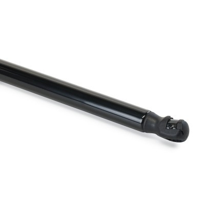 Gasfeder, Koffer-/Laderaum RIDEX 219G1387 219G1387 - foto 5