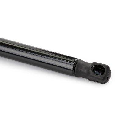 Gasfeder, Koffer-/Laderaum RIDEX 219G0233 219G0233 - foto 8
