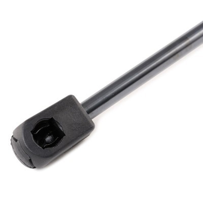 Gasfeder, Koffer-/Laderaum RIDEX 219G0842 219G0842 - foto 5