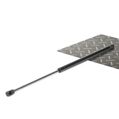 Gasfeder, Koffer-/Laderaum RIDEX 219G0277 219G0277 - foto 2