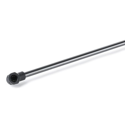 Gasfeder, Koffer-/Laderaum RIDEX 219G0888 219G0888 - foto 4