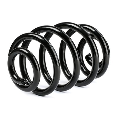 Fahrwerksfeder RIDEX 188C0429 188C0429 - foto 4