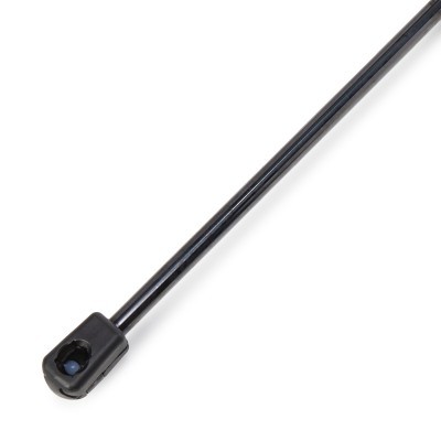 Gasfeder, Koffer-/Laderaum RIDEX 219G1348 219G1348 - foto 4