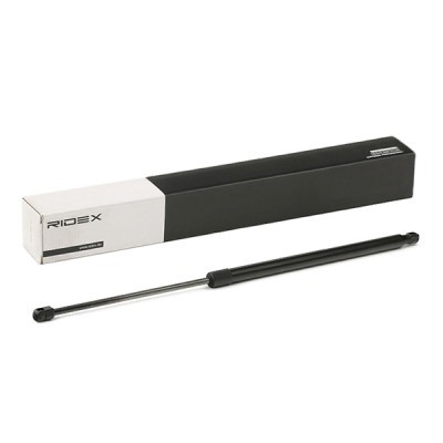 Gasfeder, Koffer-/Laderaum RIDEX 219G0958 219G0958 - foto 2