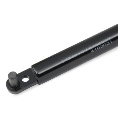 Gasfeder, Koffer-/Laderaum RIDEX 219G0201 219G0201 - foto 5