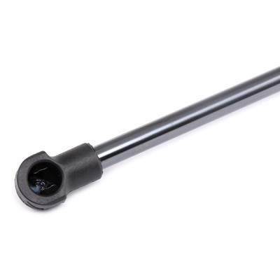 Gasfeder, Koffer-/Laderaum RIDEX 219G0294 219G0294 - foto 5
