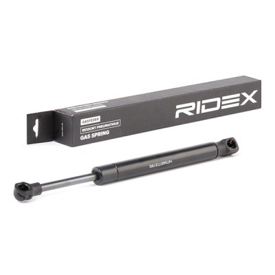 Gasfeder, Koffer-/Laderaum RIDEX 219G0924 219G0924 - foto 2