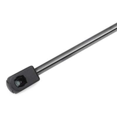 Gasfeder, Koffer-/Laderaum RIDEX 219G0287 219G0287 - foto 6