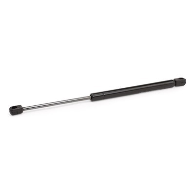 Gasfeder, Koffer-/Laderaum RIDEX 219G0503 219G0503 - foto 8